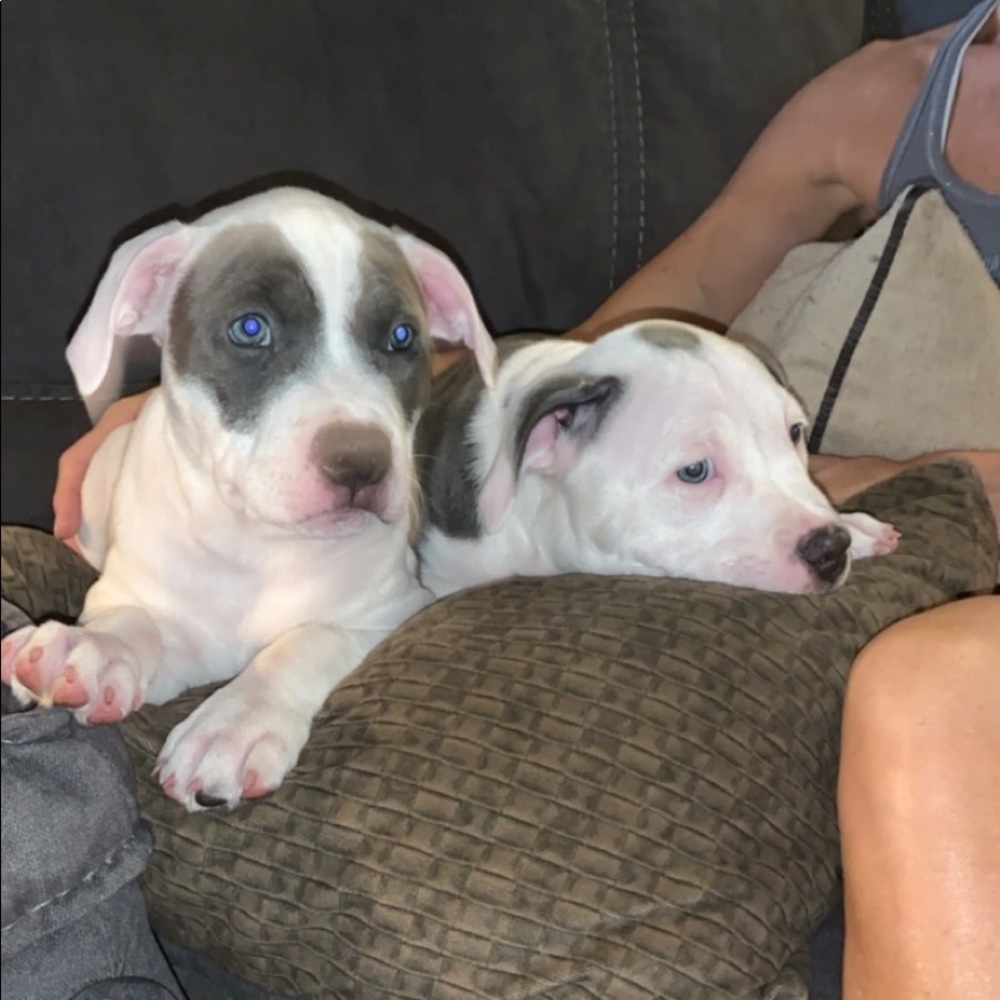 Meet your Posher, Jack